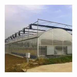 Landwirtschaft liche Gewächs häuser Mehrfeld-Kunststoff folien gewächs häuser Tunnel-/Kuppelform Ein schicht folien gewächshaus für Gemüse