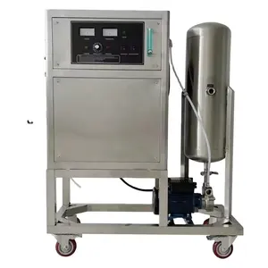 BSOG 10g/h Water Treatment Ozonated Water Machine For Drinking Water