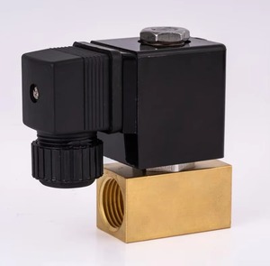 Vanne solénoïde de purge automatique en laiton 16 bars CS728 1/2 pouce 12V, vannes haute pression pour l'eau, garantie 2 ans, fabriqué en Chine - Product Image 2