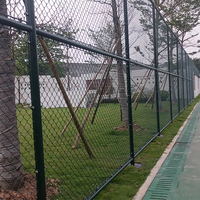 Clôture en treillis métallique OEM ODM, galvanisée à chaud, sur mesure, avec revêtement PVC, pour sports et jeux