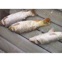 Détartreur de poisson électrique avec nettoyage de couvercle coupant la machine semi-automatique de détartrage des entrailles de viscères
