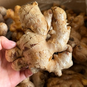 Высококачественные сушеные ломтики свежего имбиря оптом по рыночной цене за тонну от бренда Guangxi Yongjiang - Product Image 5