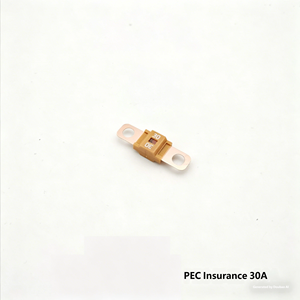 Fusible automobile authentique à visser 30A-200A, haute intensité, type plat, <span class=keywords><strong>pour</strong></span> batterie de voiture - Product Image 3