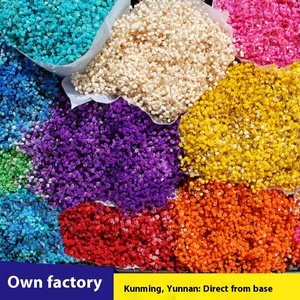 Baby Breath Dried <strong>Flowers</strong> Pampas Grass 120g/bunch Wholesale Decorative Eternal Bouquet For Graduation Christmas Easter - Product Image 2