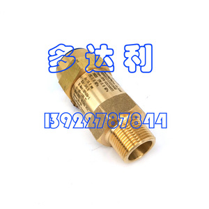 Válvula de Seguridad Carrier SFA-22C300T1 30XAXWXQ Tipo Palanca de Apertura Total - Product Image 4