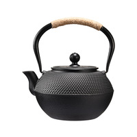 Théière japonaise en fonte noire avec infuseur en acier inoxydable, pots à fleurs en fonte pour le thé d'intérieur