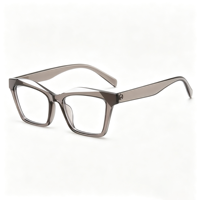 Lunettes anti-lumière bleue SM26012, monture PC œil de chat, lunettes d'ordinateur unisexes, lunettes optiques, verres correcteurs bloquant la lumière bleue