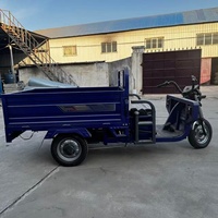 Tricycle cargo électrique 3 roues 60V 1000W pour le marché du Mali, capacité de charge 800kg, plateau ouvert, châssis renforcé, pneus antidérapants, prix usine