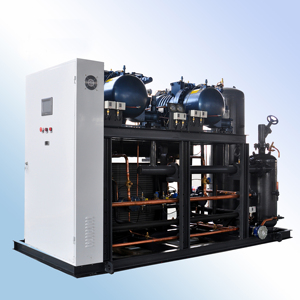 ชุดเครื่องทำความเย็นขนาดใหญ่พร้อมคอมเพรสเซอร์หลายตัวในชั้นวาง - Product Image 5