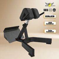 Chaise romaine la plus vendue pour salle de sport commerciale, banc d'extension dorsale, machine d'entraînement de la taille, banc romain