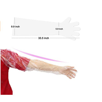 Gants de Palpation Rectale Longs Vacas