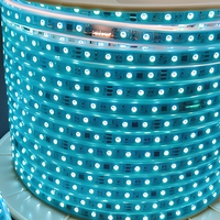 Bande lumineuse LED néon flexible DC24V en PVC, étanche IP68, télécommande, puce Epistar, Ra85, durée de vie de 50 000 heures, 60 lumières/m