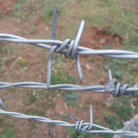 Alambre de Púas de Hierro Galvanizado Verde, Rollo de Acero de Protección y Seguridad, Ampliamente Utilizado para Vallas de Jardines y Granjas