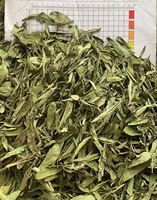 Feuilles de Stévia Séchées de Couleur Verte, Parfum Riche Naturel Pur, Thé Herbal, Prix Usine