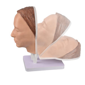 Modelo de rostro femenino para entrenamiento en estética, maniquí de silicona para inyecciones, producto de <span class=keywords><strong>ciencia</strong></span> médica. - Product Image 6