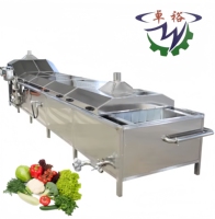 Continue voedselverwerkingsmachine voor pinda's, groenten en fruit, stoomblancheringsmachine 200 kg/uur, tomatenblancheringsmachine, kleine aardappelblancheringsmachine