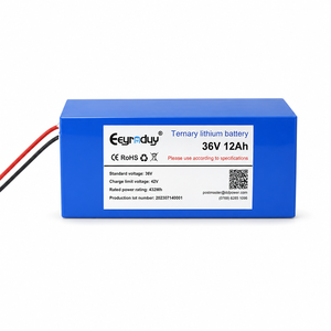 Paket Baterai Lithium NMC 36V 12Ah 432Wh untuk Kursi Roda Listrik, Skuter Mobilitas, Catu Daya, Dukungan OEM ODM Kustom - Product Image 1