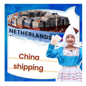 Vận Chuyển Kinh Tế Hà Lan Bằng Tàu Hàng Không Đường Biển Với DDP Từ Trung Quốc Đến Hà Lan Thông Quan Hải Quan - Product Image 1