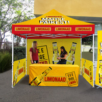 Auvent publicitaire 3x3m avec drapeau de plage, tente pliante personnalisée pour salon professionnel