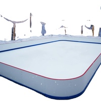 Planche à roulettes portable en plastique ZSPE avec roues lisses pour les jeux et l'apprentissage en plein air des enfants