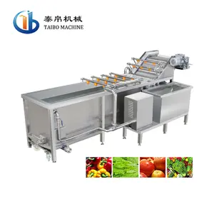 Industrial Air Bubble SUS304 Ozone Vegetable Washing Machine Fruit Washing Machine Leaf Vegetable Washing Machine for Factory