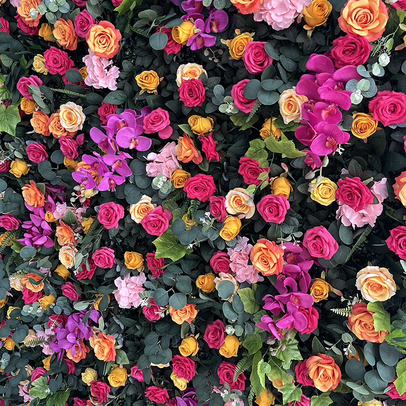 Eucalyptus jaune rouge