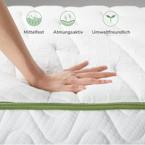 Nệm Mẫu Miễn Phí Nệm Cao Su Tổng Hợp Cao Su Matelas Cỡ Lớn 10 Inch Sang Trọng Kèm Hộp - Product Image 6