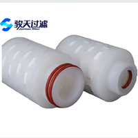 Cartouche filtrante PES mini certifiée CE à filtration absolue 0,22 µm 0,45 µm 2,5 pouces avec adaptateur SK/Baïonnette