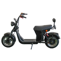 Scooter électrique à 2 roues 60V Citycoco pour adultes, directement de l'usine