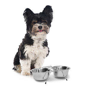 High Quality Eco-Friendly Solid Stainless Steel Portable Pet <b>Dog</b> & Cat <b>Bowl</b> <b>Small</b> & Large Outdoor Travel <b>Bowls</b> - Product Image 4