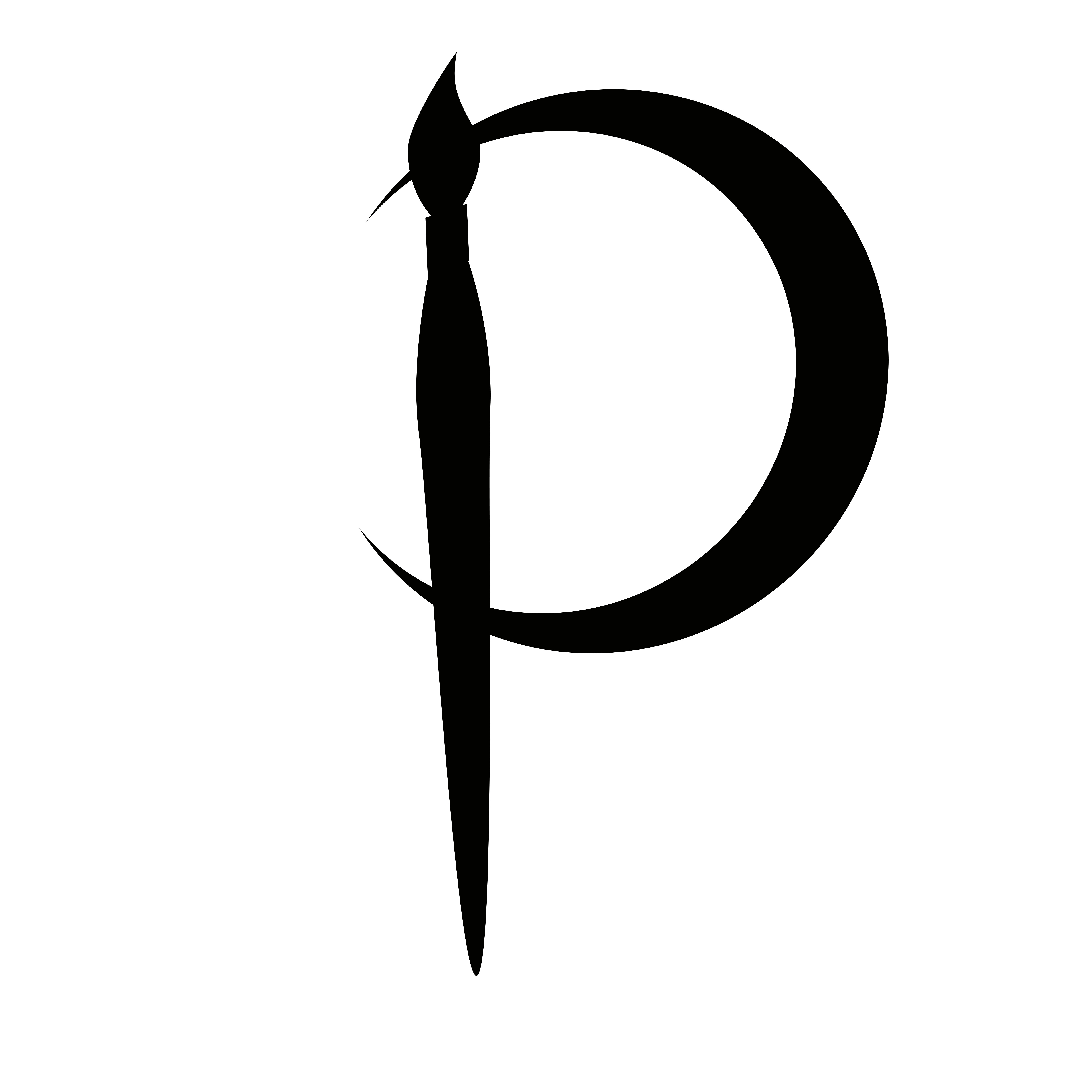 PRANIKA INTERNATIONAL logo
