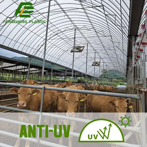 HDPE dệt polythene tấm nhựa cho nhà kính với UV kháng nhà kính phim nhựa nhà kính phim - Product Image 4