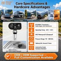 Monitor de Presión de Neumáticos TPMS Solar, Sensor Integrado RF434MHz, Pantalla Solar, Aplicación BLE para Autos de 4 Ruedas, Suministro de Fábrica OEM