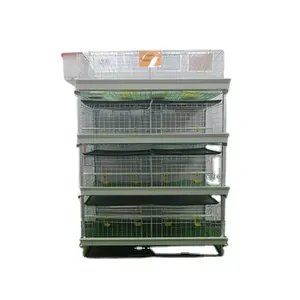 Alto costo-efficace H tipo galvanizzato pollame azienda agricola batteria gabbia di broiler con il capezzolo bevitore alimentazione sistema di apparecchiature