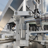 Machine de remplissage automatique de sauce tomate debout Machine de remplissage de poche de bec de liquide de jus de crème Machine de capsulage d'étanchéité