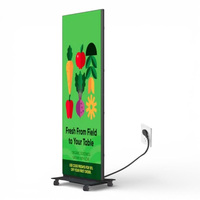 Affichage publicitaire double face pliable à LED, écran miroir, vente directe d'usine