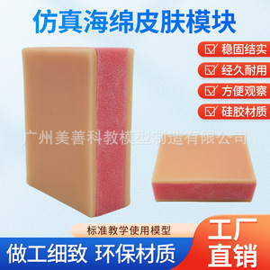 Modèle d'entraînement à la suture, modèle de peau, pratique chirurgicale, silicone, éponge, module d'entraînement aux injections, infirmière. - Product Image 4
