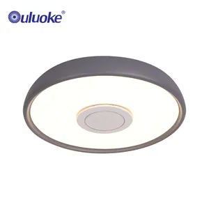 China Supplier Nordic Art Design Led Ceiling Lamp Simple Living Room Bedroom Ceiling Light