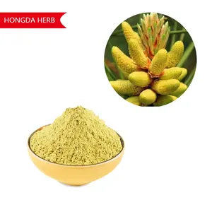 Hongda Factory Cell Wall Broken 99% Bulk Pine Pollen Powder