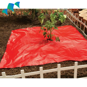 Paillis de tomate rouge perforé de désinsectisation, couverture de sol agricole de film de paillis en plastique noir, prix de rouleau de film de paillage bon marché - Product Image 5