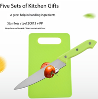 Nordic Candy Color Premium Quality 5pcs Ensemble de couteaux multifonctions Outils de cuisine de pique-nique portables, y compris les chefs d'office
