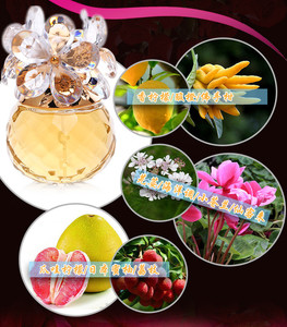 Perfume Floral Ligero y Duradero para Mujer con Logotipo Personalizado, Fragancia Floral para la Felicidad, Spray Corporal Líquido de 55 ml, Directo de Fábrica - Product Image 4
