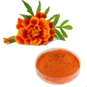Natural Health Products Marigold Extract Lutein 5%-80% CAS 127-40-2 Lutein Powder