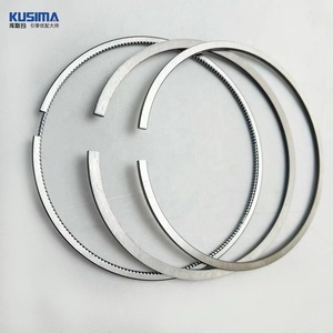 Pièces de moteur automobile de haute qualité, segments de piston pour Land Rover Jaguar <span class=keywords><strong>Discovery</strong></span> <span class=keywords><strong>Sport</strong></span> 276DT 2.7T 306DT TDV6 AJV6D 3.0T OE LR041639 - Product Image 2