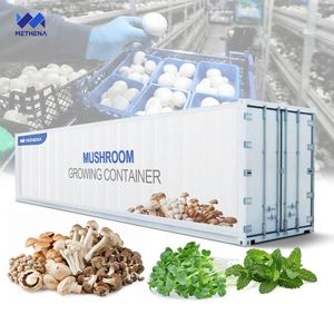 Système de culture hydroponique en conteneur de 40 pieds pour la culture de champignons et de <span class=keywords><strong>safran</strong></span>, machine de culture en boîte d'expédition à vendre - Product Image 1