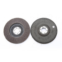 Disque à lamelles abrasif en oxyde d'aluminium calciné 115 mm, grain 36-120, meule diamantée pour l'acier