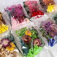 Bunga Abadi Seri Babys Breath Hydrangea Aneka Ragam Perlengkapan Kerajinan DIY Lilin Kipas Lipat Dekorasi Resin Epoksi Kering