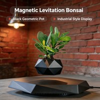 Pot à Bonsaï à Lévitation Magnétique, Pot de Plante en ABS, Pot Flottant Rotatif, Design Minimaliste, Cadeau Créatif Unique, Décoration d'Intérieur Bonsaï