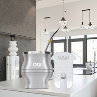 Ensemble de tasses de maté modernes à double paroi en acier inoxydable avec brosse de nettoyage à paille de gourde Tea Shaper Tous les accessoires en métal