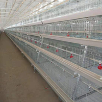 Vente en gros et au prix le plus bas Cage pour poulets de chair Cage pour poulets de chair Cages pour batterie pour volaille Poulet pondeuse